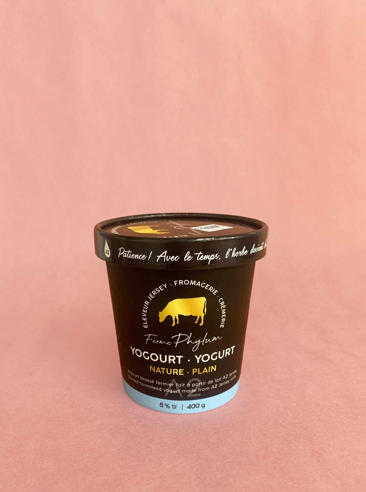 yogourt nature, 400g