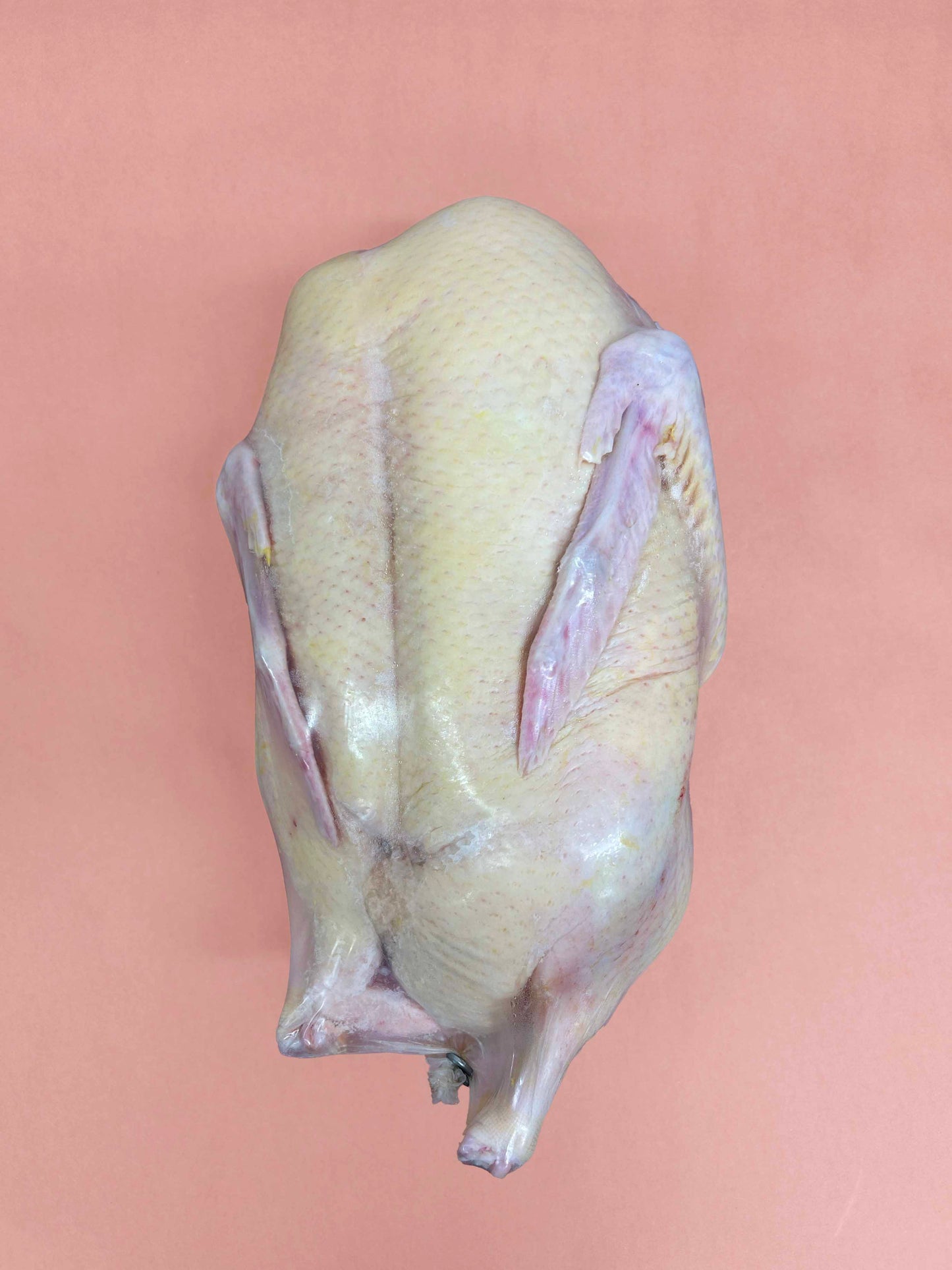 Canard Moulard