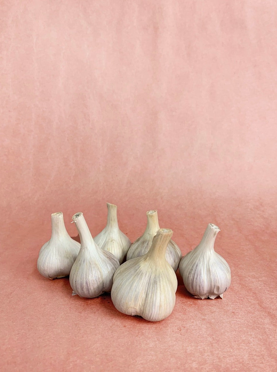 garlic bulb, by the 100g