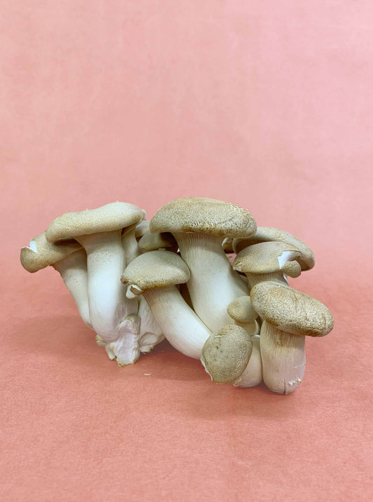 king oyster mushrooms, by the 150g